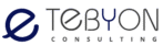 Tebyon Consulting